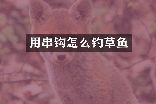 用串钩怎么钓草鱼