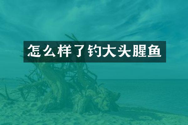 怎么样了钓大头腥鱼