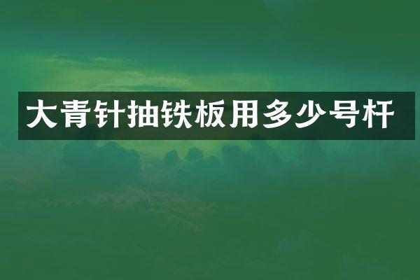 大青针抽铁板用多少号杆