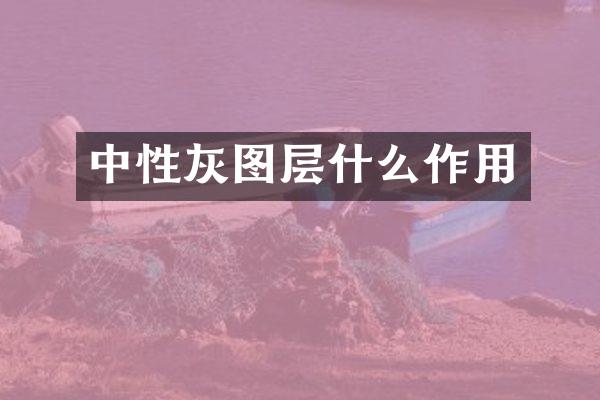中性灰图层什么作用