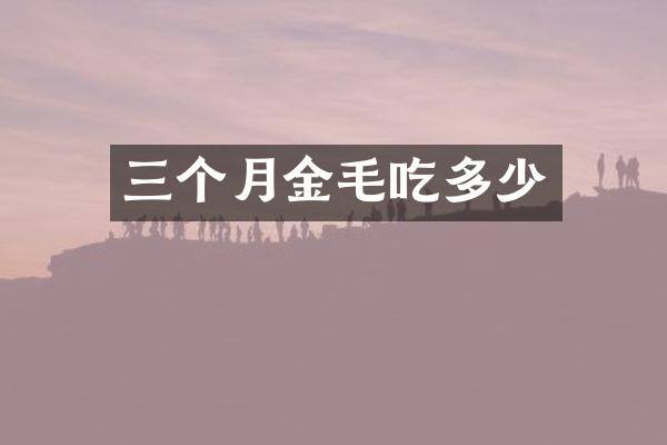 三个月金毛吃多少