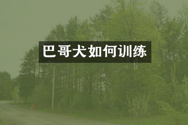 巴哥犬如何训练