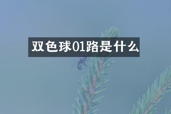 双色球01路是什么