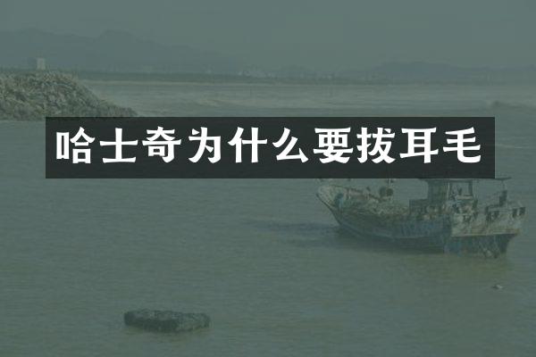 哈士奇为什么要拔耳毛