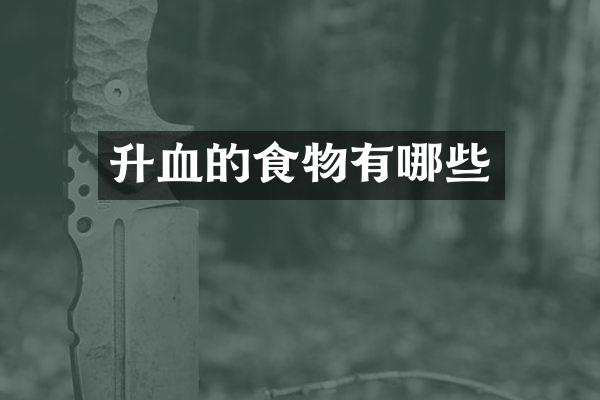 升血的食物有哪些