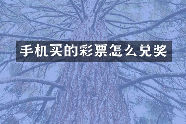 手机买的彩票怎么兑奖