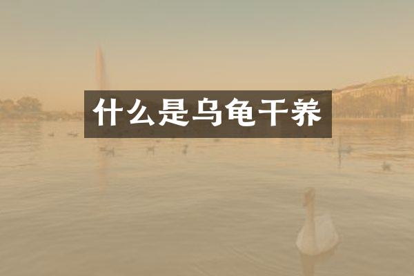 什么是乌龟干养