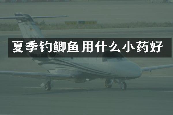夏季钓鲫鱼用什么小药好