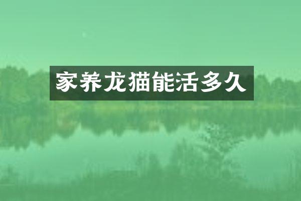 家养龙猫能活多久