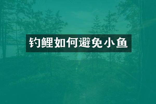 钓鲤如何避免小鱼