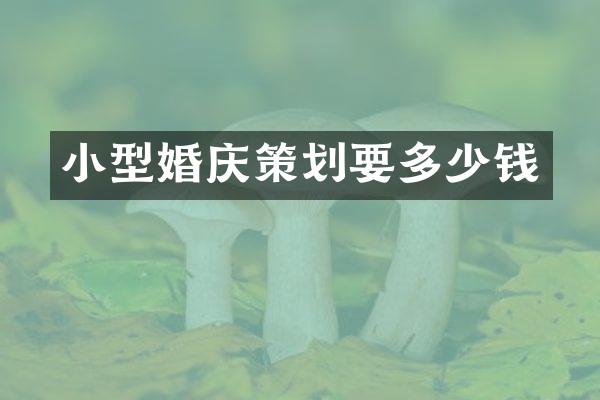 小型婚庆策划要多少钱