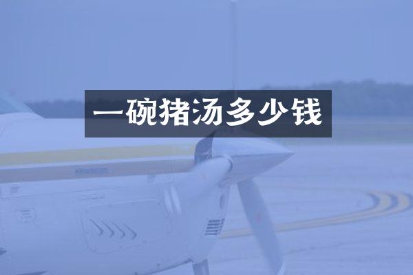 一碗猪汤多少钱