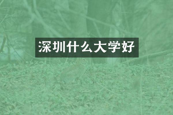 深圳什么大学好