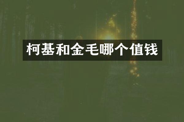 柯基和金毛哪个值钱