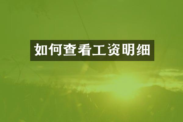 如何查看工资明细