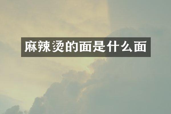 麻辣烫的面是什么面