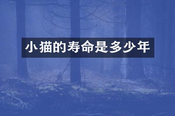 小猫的寿命是多少年