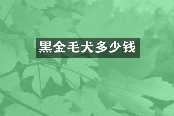 黑金毛犬多少钱