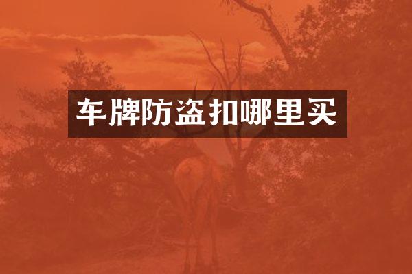 车牌防盗扣哪里买