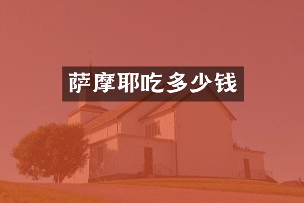 萨摩耶吃多少钱