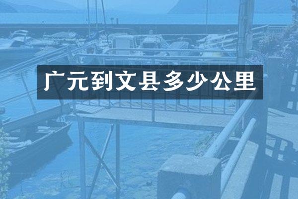 广元到文县多少公里