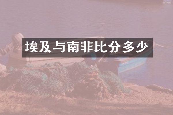 埃及与南非比分多少