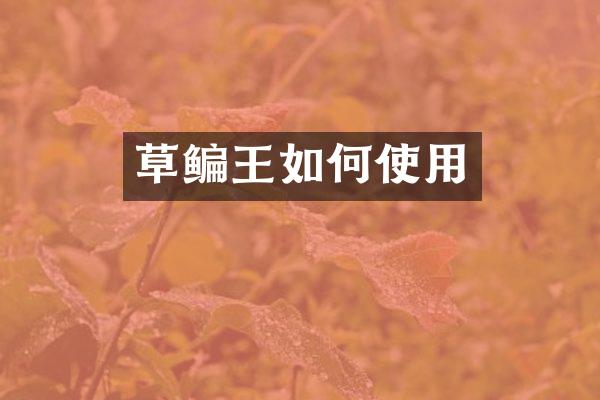 草鳊王如何使用