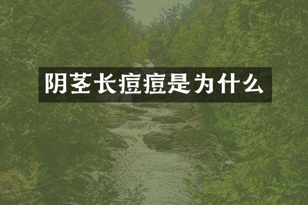 阴茎长痘痘是为什么