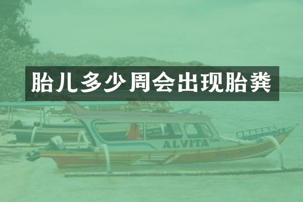 胎儿多少周会出现胎粪