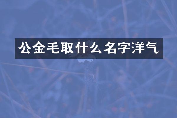公金毛取什么名字洋气