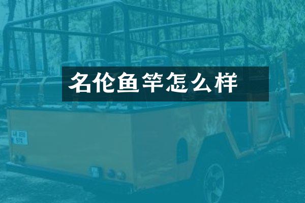 名伦鰆鱼竿怎么样