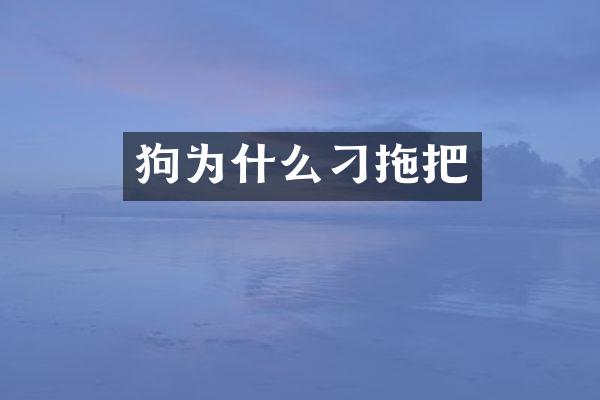 狗为什么刁拖把