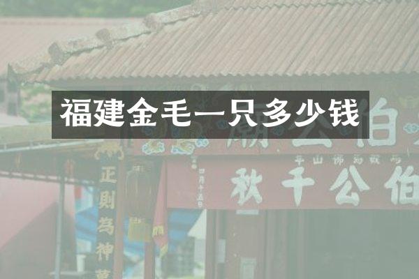 福建金毛一只多少钱