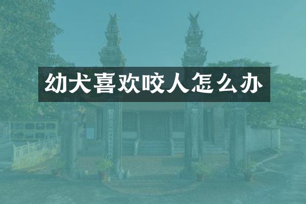 幼犬喜欢咬人怎么办