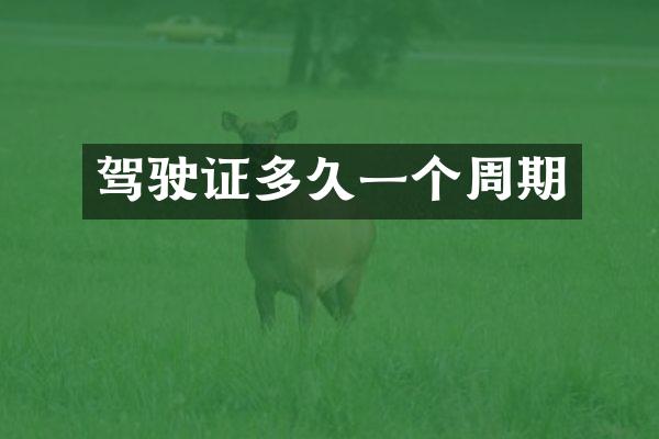 驾驶证多久一个周期