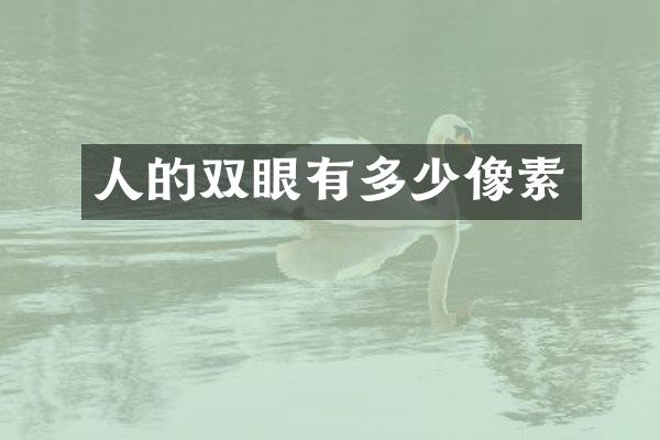 人的双眼有多少像素