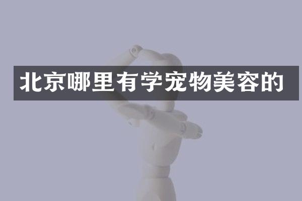 北京哪里有学宠物美容的