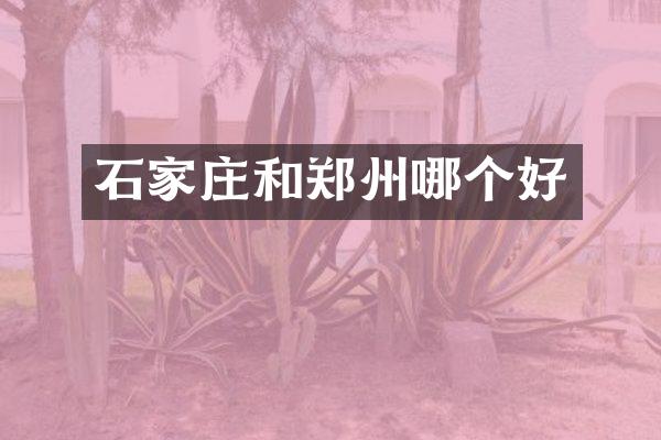 石家庄和郑州哪个好