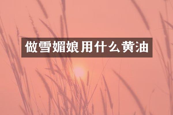 做雪媚娘用什么黄油