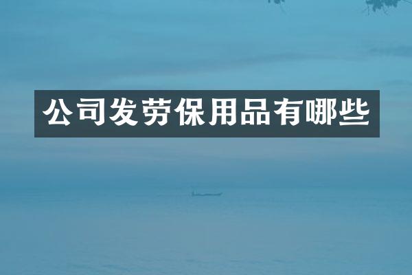 公司发劳保用品有哪些
