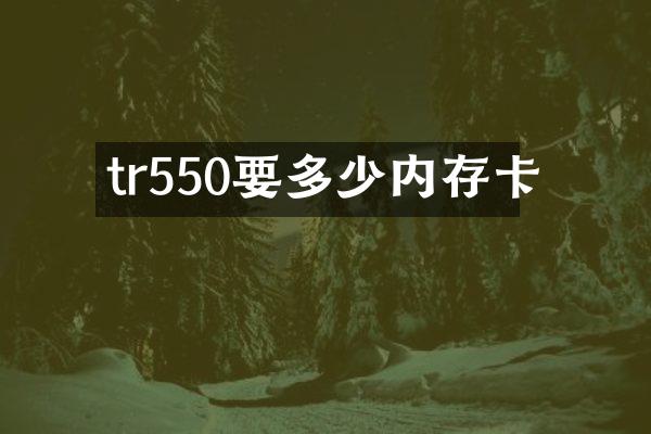 tr550要多少内存卡