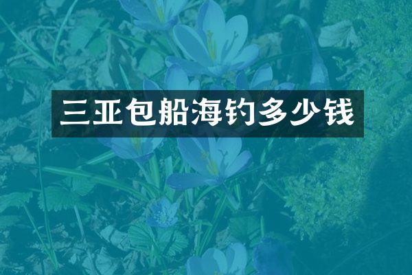 三亚包船海钓多少钱