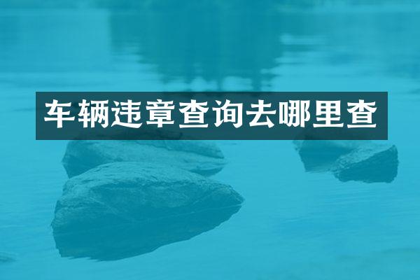 车辆违章查询去哪里查