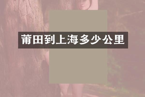 莆田到上海多少公里