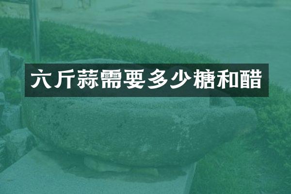 六斤蒜需要多少糖和醋