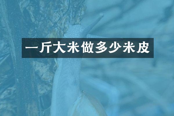 一斤大米做多少米皮