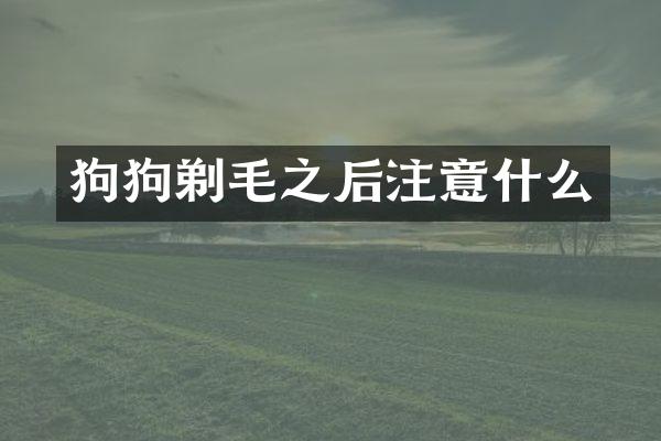 狗狗剃毛之后注意什么