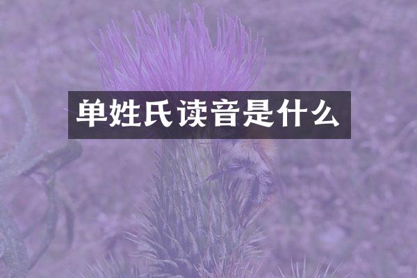 单姓氏读音是什么