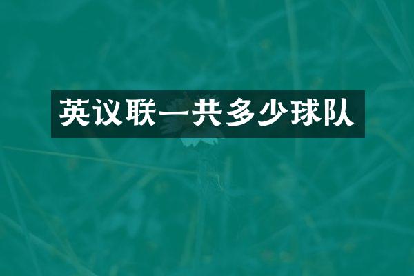 英议联一共多少球队