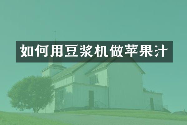 如何用豆浆机做苹果汁